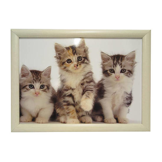 Laptray Drie kittens 1