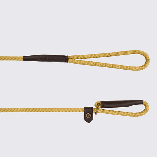 Afbeelding Marley Hondenlijn (slipriem) Gold 2 van Dubarry