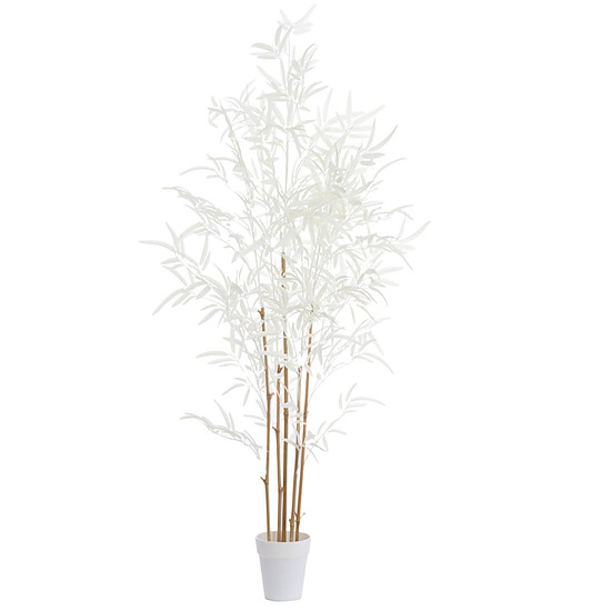 Ornament in pot Bamboo naturel+creme L 1