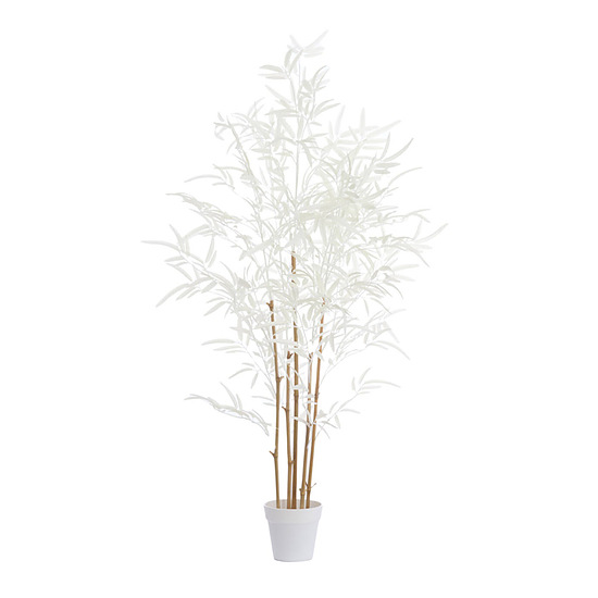 Ornament in pot Bamboo naturel+creme M 1