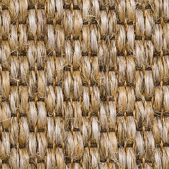 Safari 1