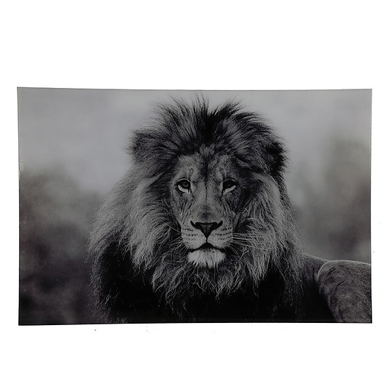 Schilderij Leeuw Wild Life zwart/wit 1