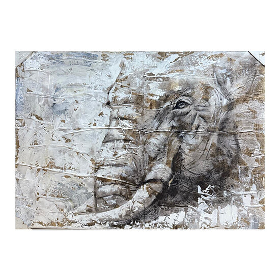 Schilderij olifant krantarikel  1