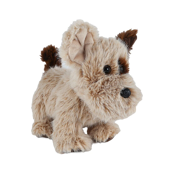 Take me home knuffel hond 22cm 1