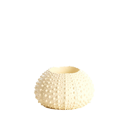 Theelichthouder Sea Urchin Creme S 1