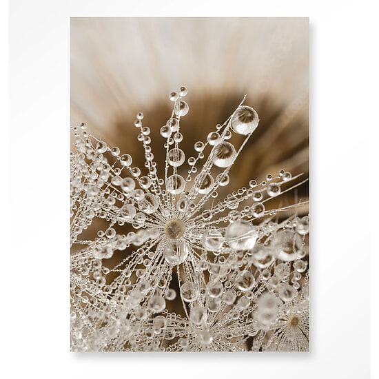 Wandkleed Landelijke Natuur 110x145 cm 1