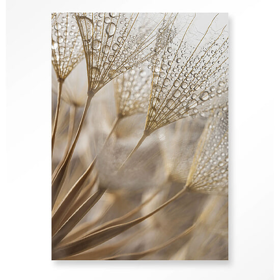 Wandkleed Natuurlijk Abstractie 110x145 cm 1