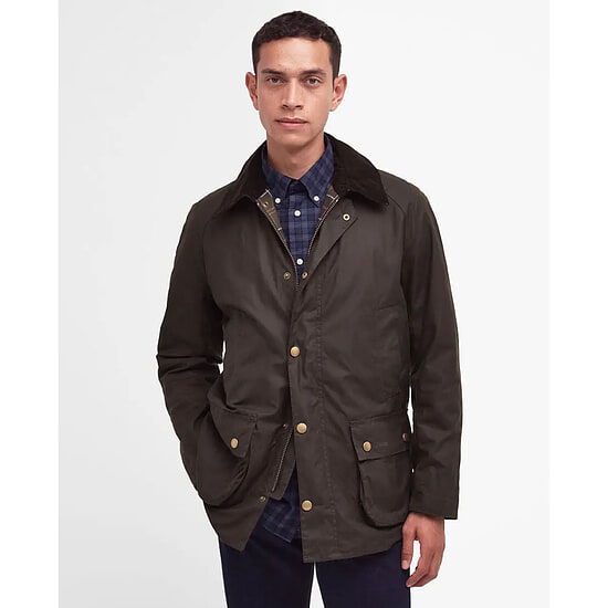 Waxjas Ashby olive
