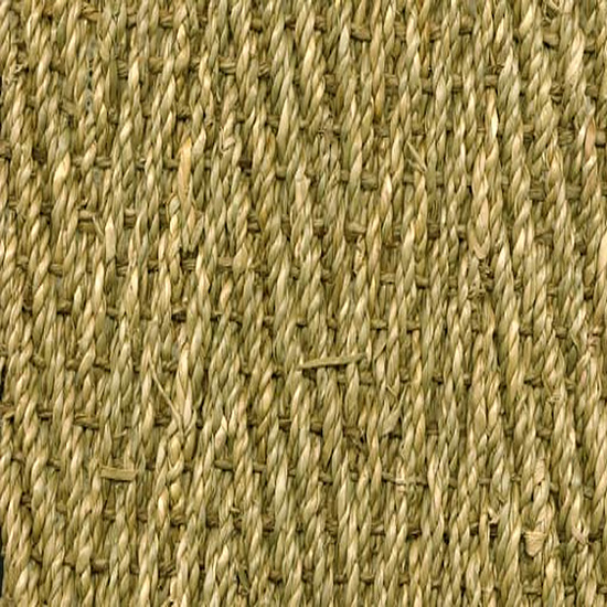 Zeegras visgraat 1
