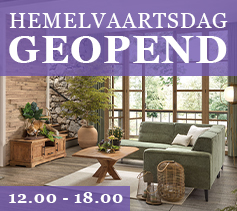 Menu - Actiebanner