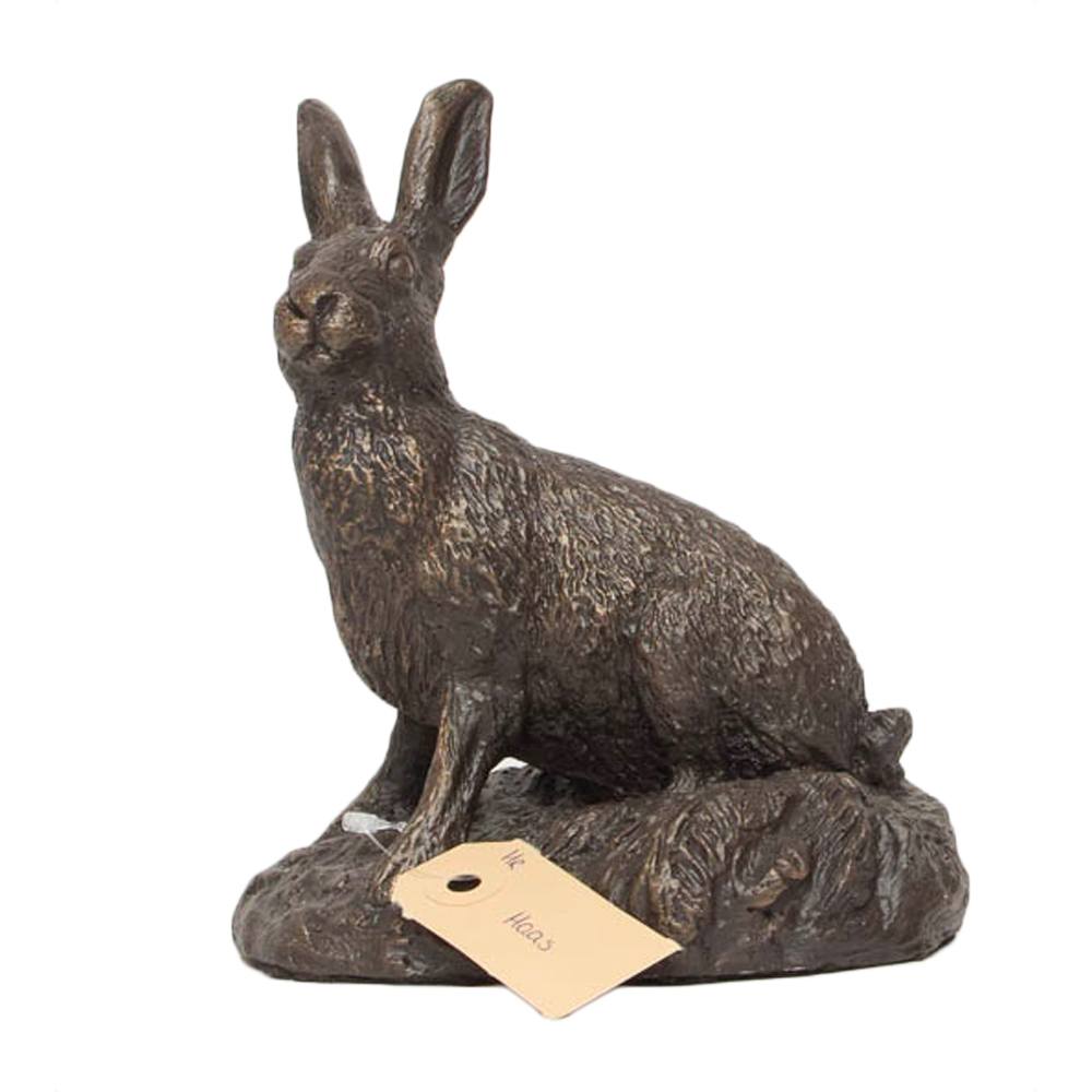 Beeld Haas Hr huismerk kopen in de aanbieding