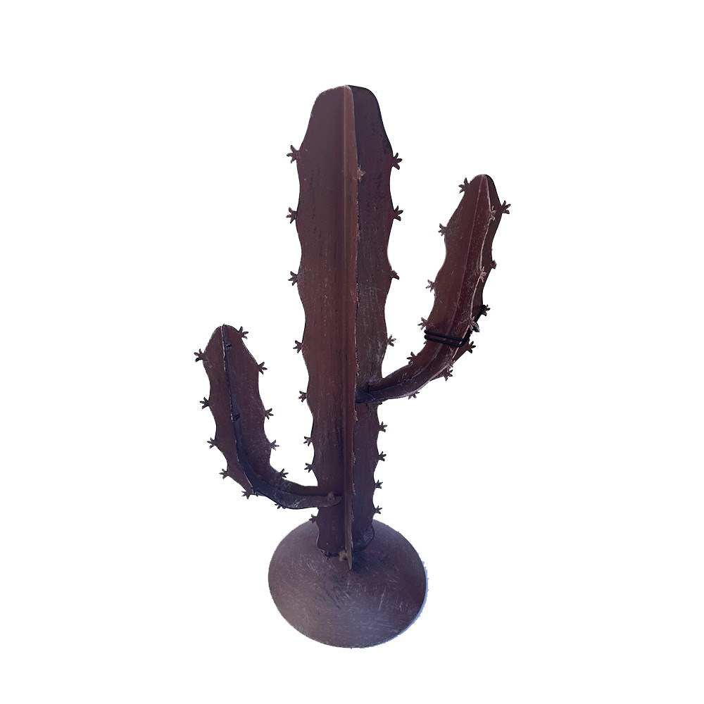 Cactus bruin M