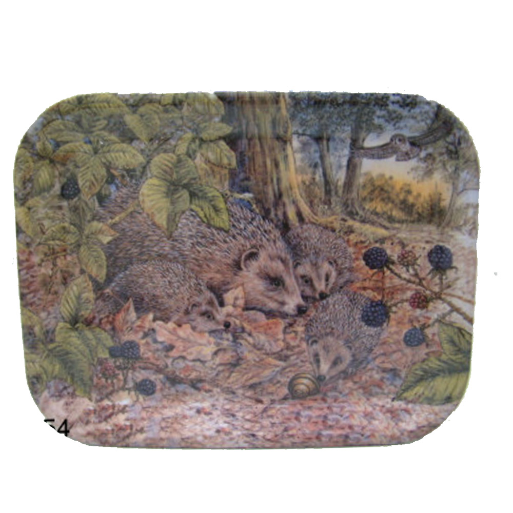 Dienblad Egel Groot