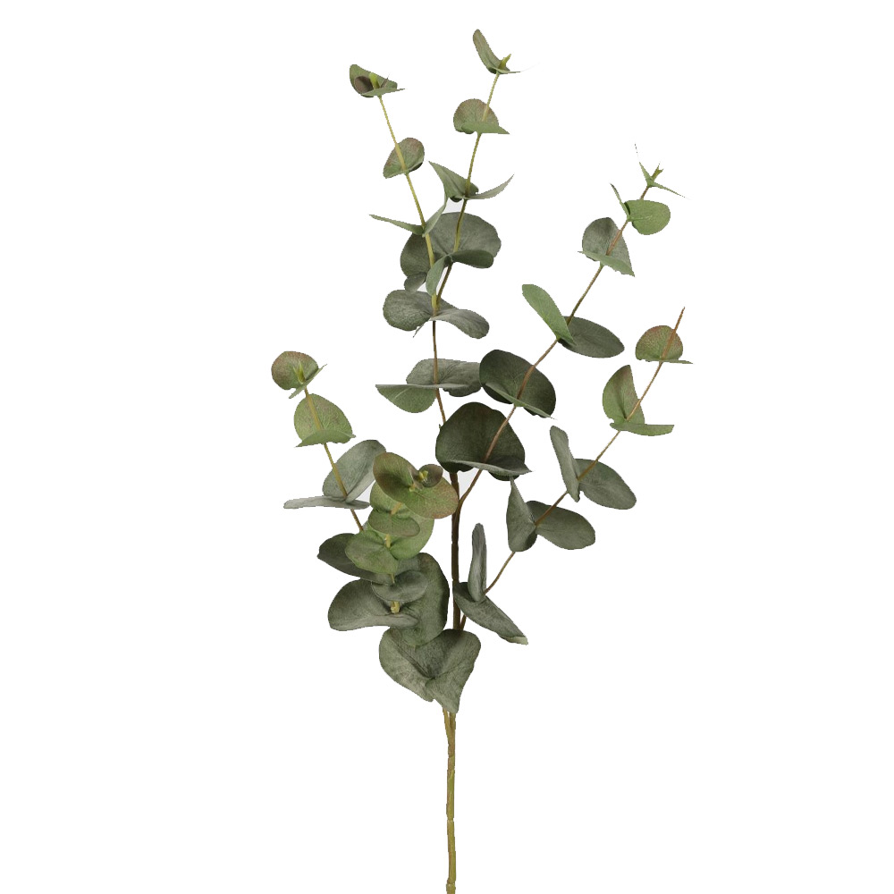 Eucalyptus green 131125