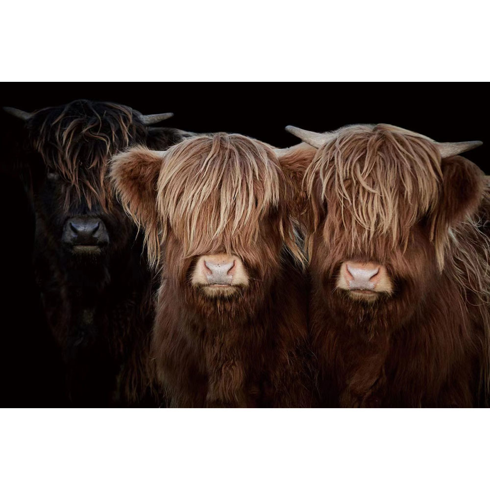 Countrylifestyle Glasschilderij Hooglander Broertjes
