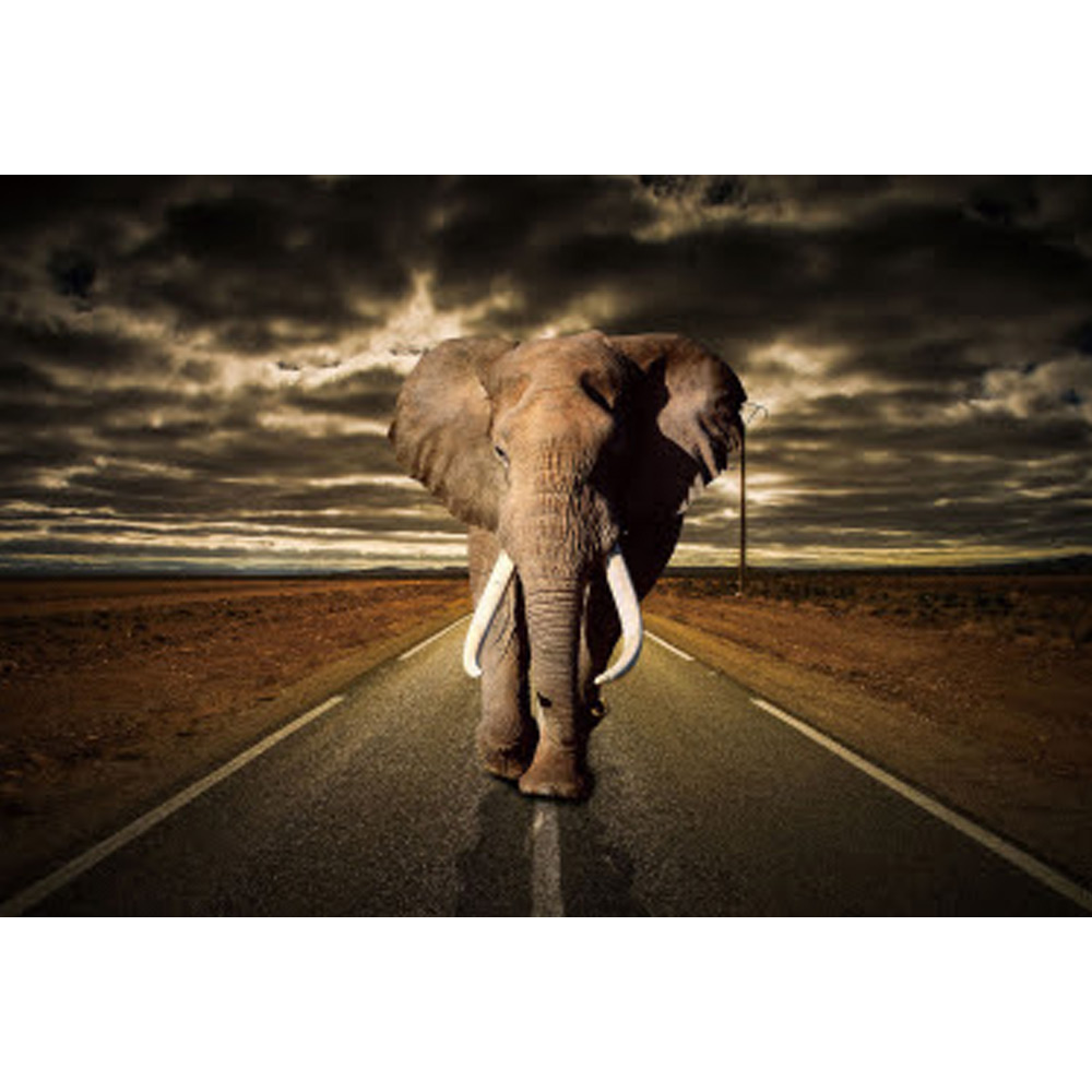 Glasschilderij olifant op weg 834