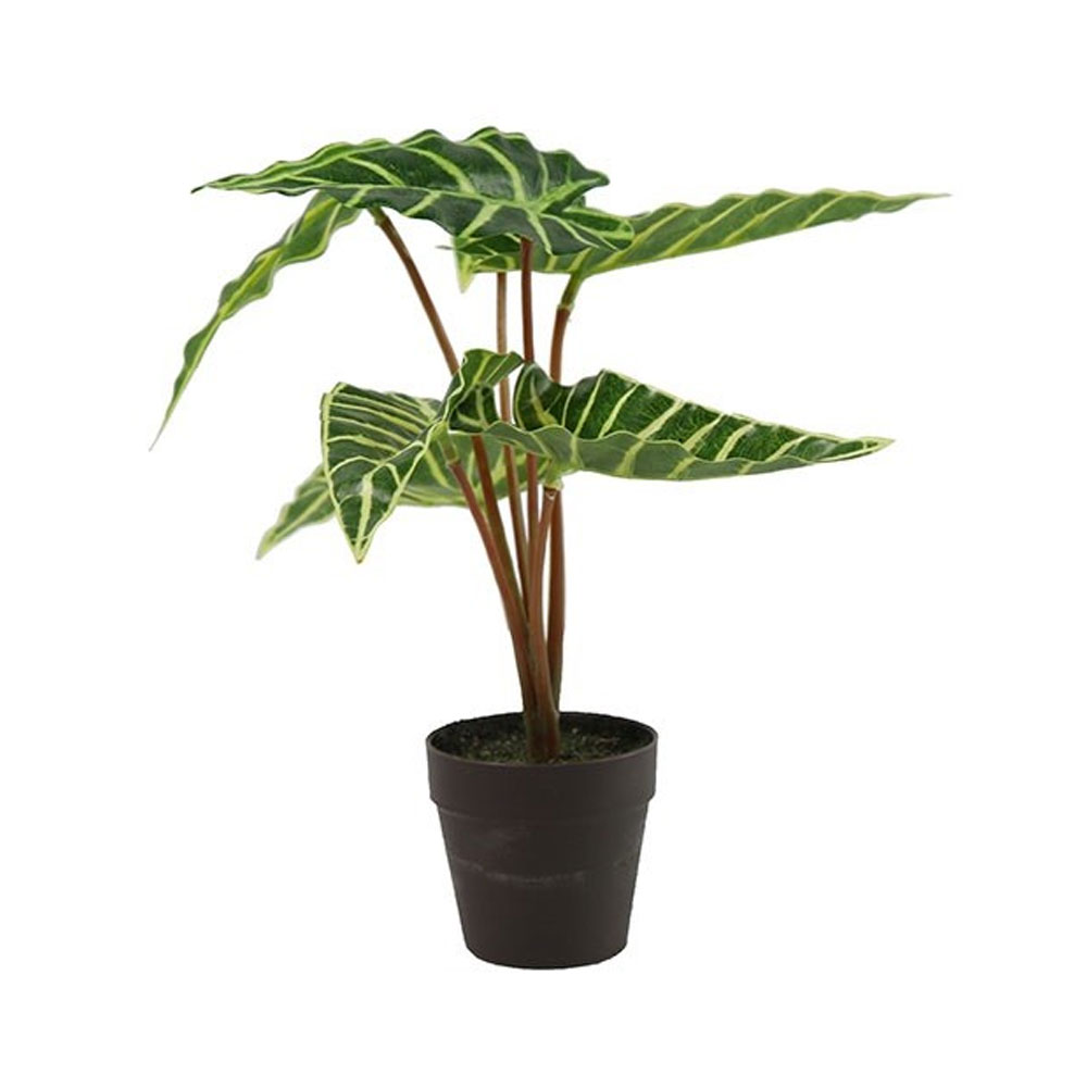 Countrylifestyle Kunstplant Alocasia Liane Groen