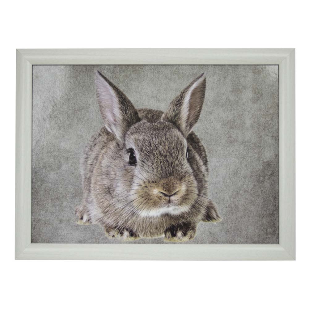 Laptray Konijn huismerk kopen in de aanbieding