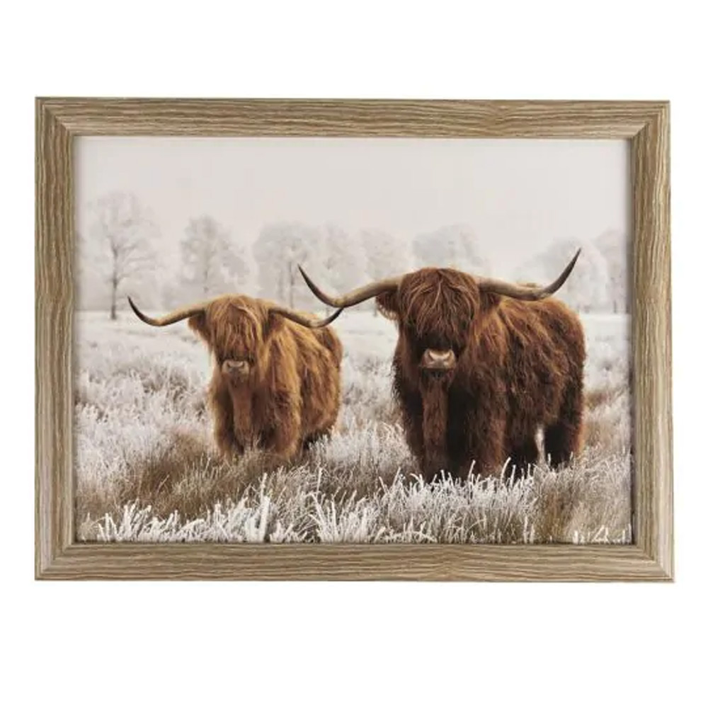 Laptray Schotse hooglanders