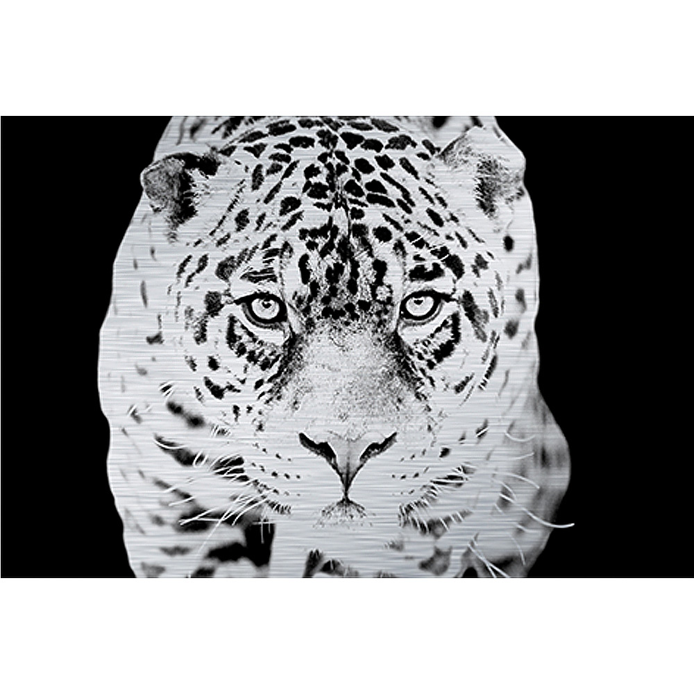 MondiArt Alu Jaguar zwart/wit 1062181