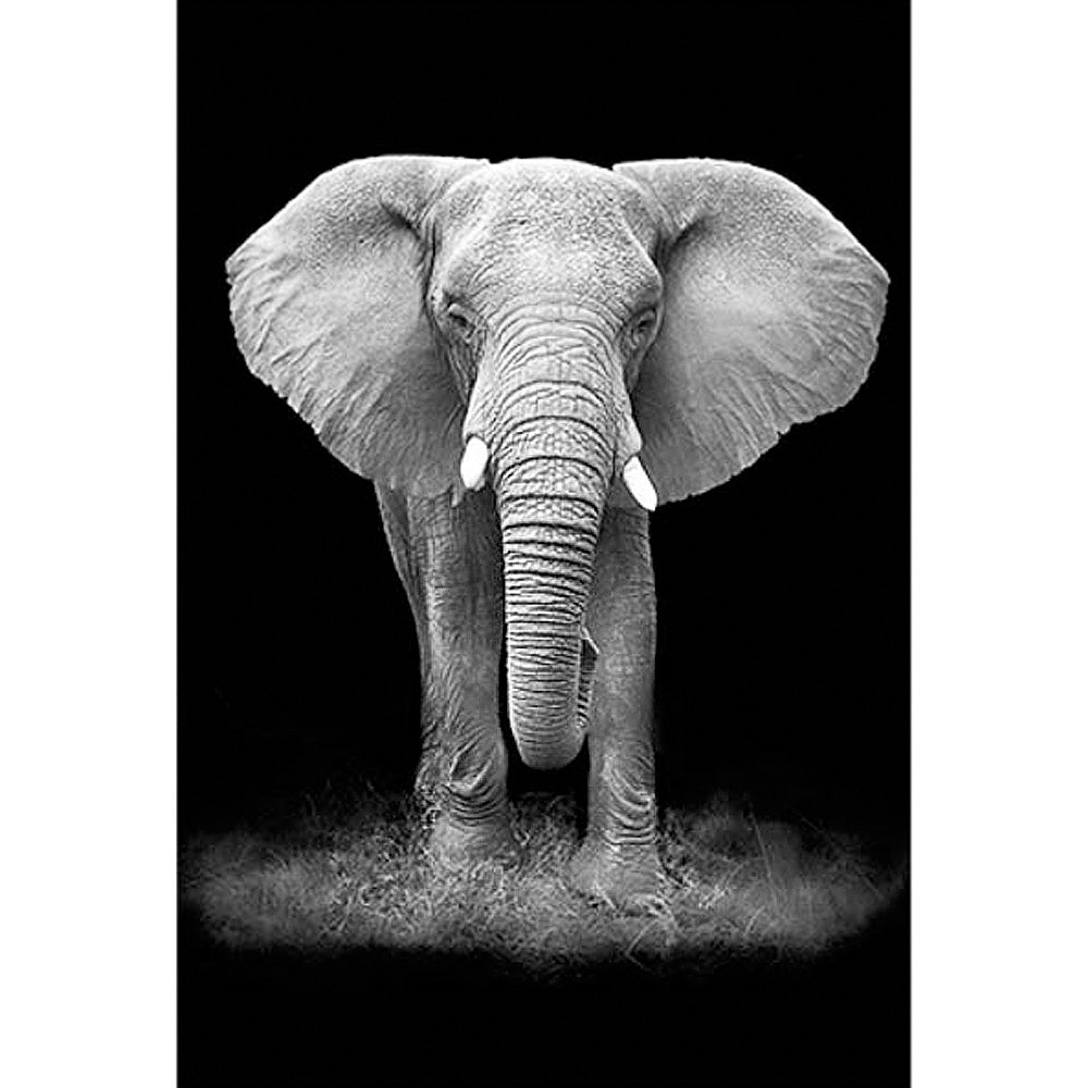 MondiArt Alu Olifant 1040902