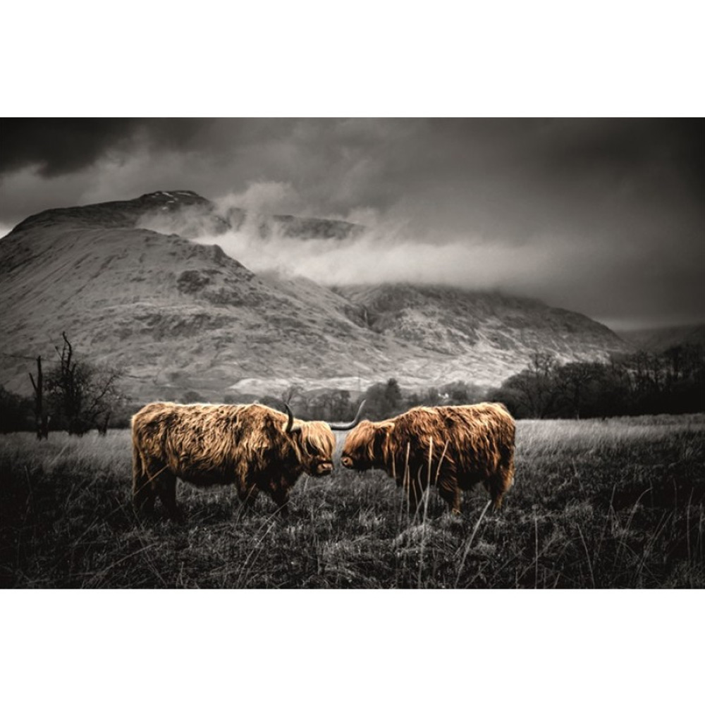 MondiArt Alu Scottish Highlander mat a1100620 MondiArt Alu Scottish Highlander mat a1100620