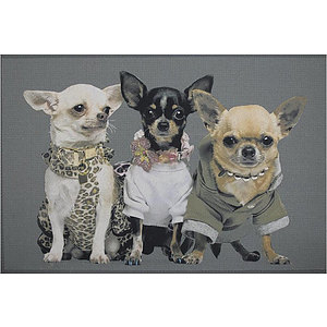 Deurmat Chihuahuas