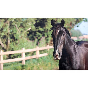 Deurmat zwart paard