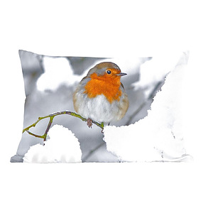Kussen roodborst op een besneeuwde tak