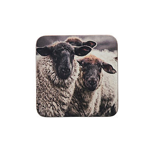 Onderzetter nieuwsgierige schapen
